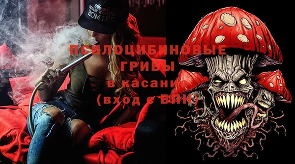индика Абдулино