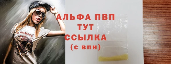 индика Абдулино