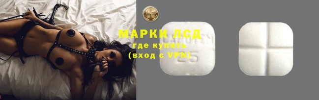 ПСИЛОЦИБИНОВЫЕ ГРИБЫ Абаза