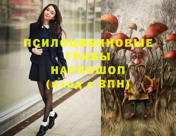 индика Абдулино