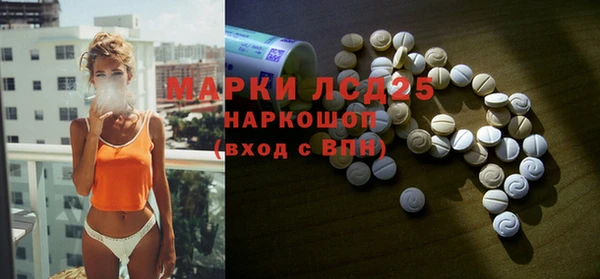 стаф Абинск