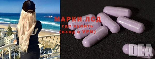 ПСИЛОЦИБИНОВЫЕ ГРИБЫ Абаза